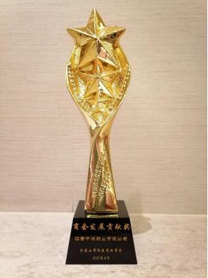 中進藥業助力全國工商聯醫藥業商會十周年發展獲嘉獎