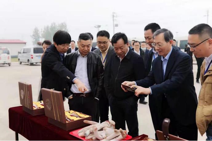 道地龜鹿膠，共謀藍海丨醫藥界名流大咖在古城新蔡干了件大事！