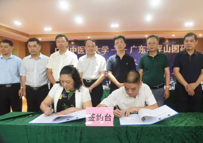 力推中醫(yī)藥現(xiàn)代化，羅浮山國藥中醫(yī)藥傳承創(chuàng)新備受關(guān)注