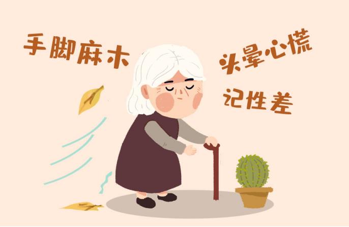 補腎精抗衰老系列談——血管衰老是致命的衰老