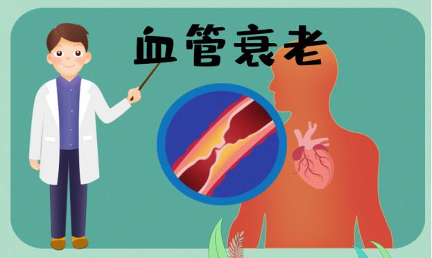 補腎抗衰系列談——長壽的關(guān)鍵在于血管
