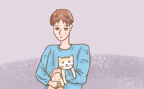 養寵必修課：貓癬多長時間能治好？別急！賜你自救的法子~