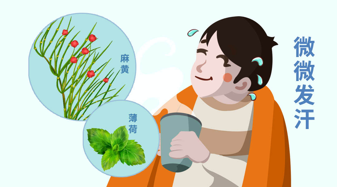 談談連花清瘟作為感冒藥的優勢