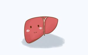 高血壓吃什么可以養肝護肝
