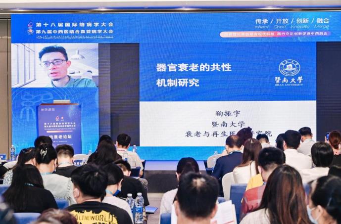 中醫藥對抗衰老新發現：八子補腎膠囊可降低細胞炎癥水平