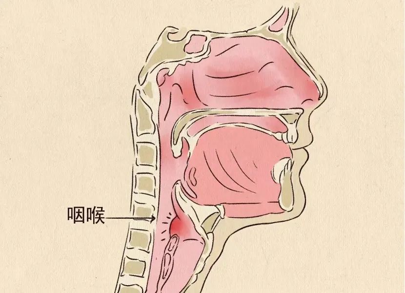 哪三種癥狀可以服用連花清瘟？中醫教你用連花清瘟防疫