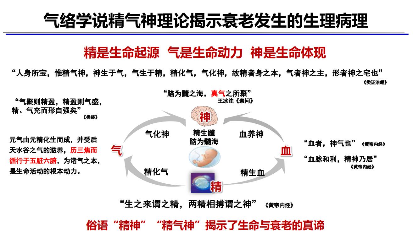 首屆世界中聯國際抗衰老高峰論壇發布抗衰老最新研究成果，中醫氣絡學說精氣神理論揭示衰老關鍵病機