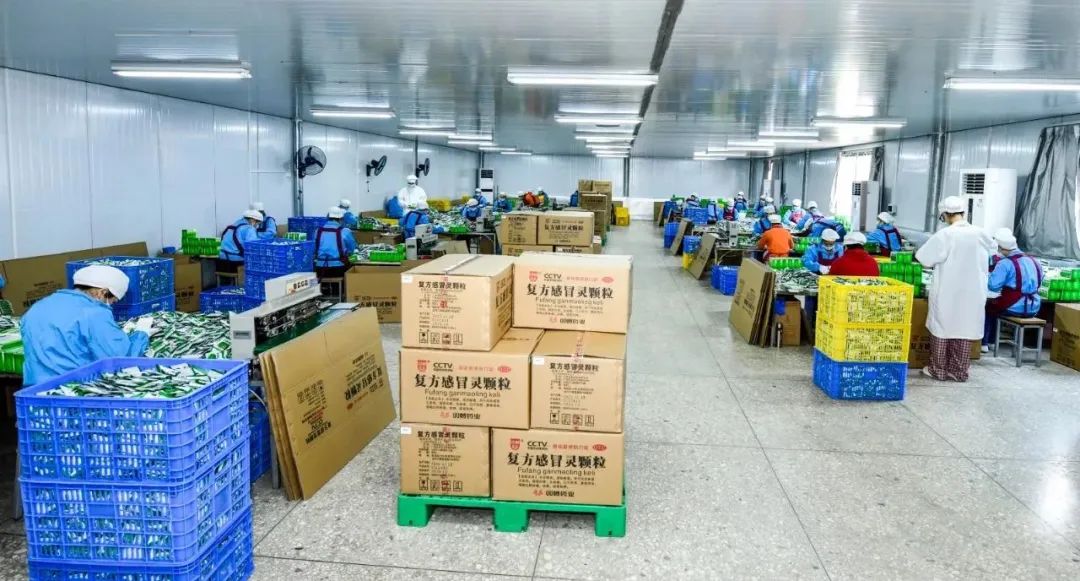 心系民眾健康，來賓市副市長李光劭率隊到雙蟻藥業調研，擴產保供