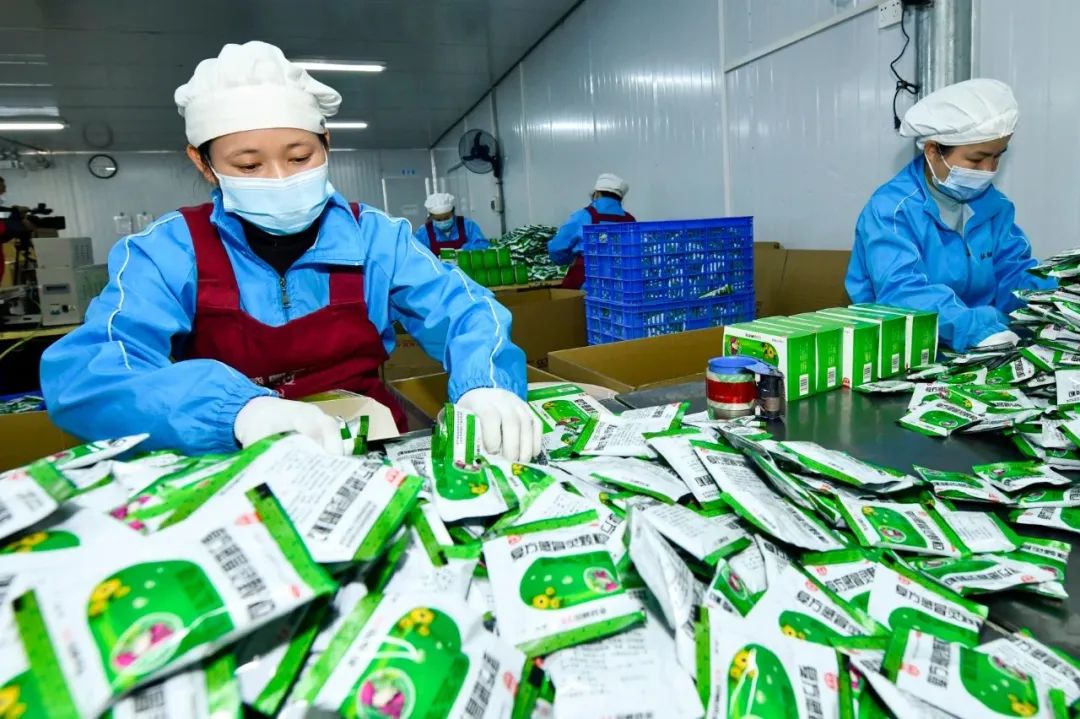 心系民眾健康，來賓市副市長李光劭率隊到雙蟻藥業調研，擴產保供