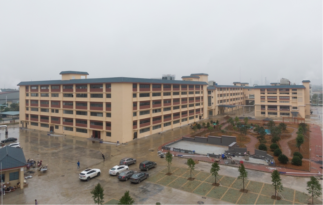 中國醫藥報：雙蟻藥業奮力打造具有壯族特色的壯藥生產基地