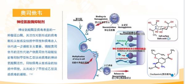 什么癥狀需服用奧司他韋？