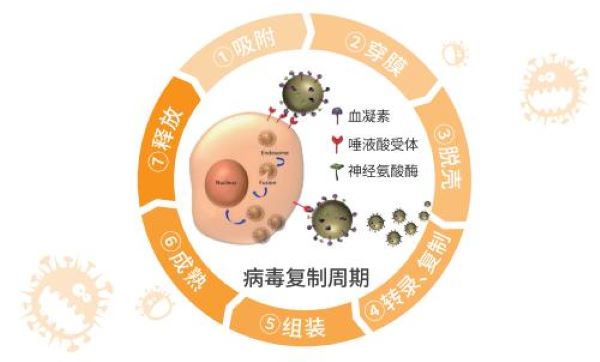 可威磷酸奧司他韋的哪些成分對感冒有幫助？