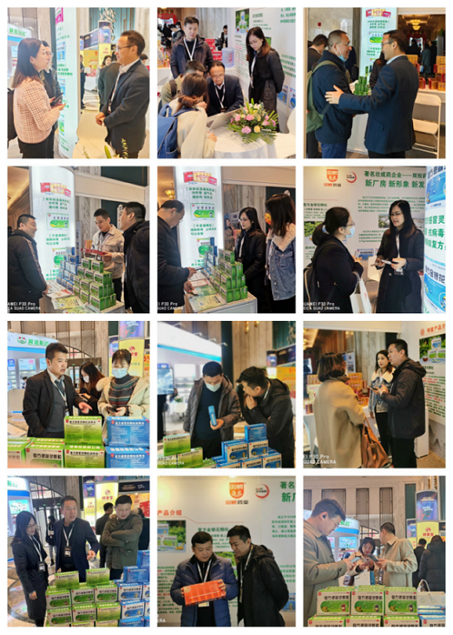 雙蟻復方感冒靈顆粒連續四年榮膺“中國藥店店員推薦率最高品牌”獎