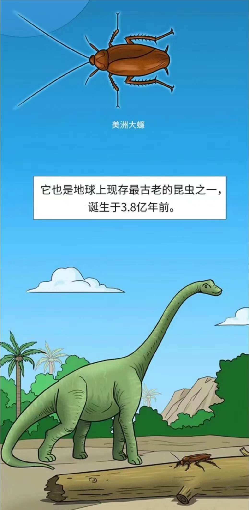 康復(fù)新液進(jìn)階之旅：每隔段時(shí)間都要“火”一下
