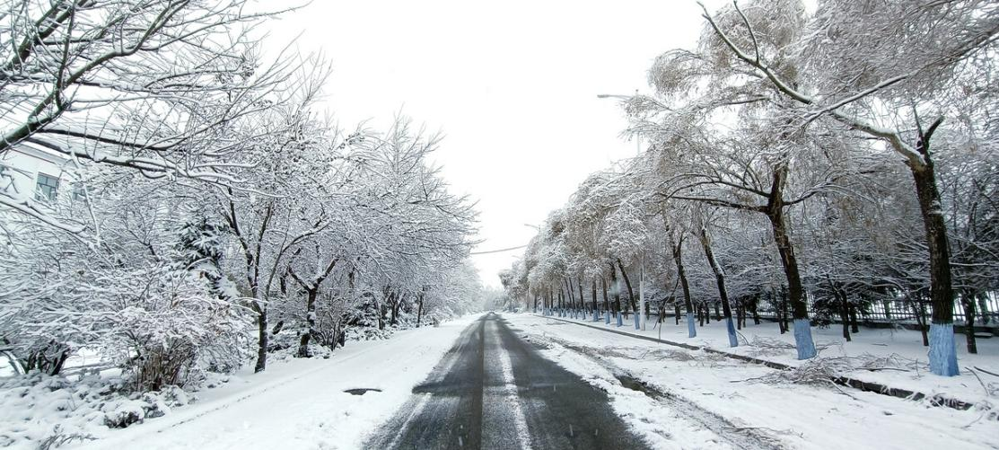 東北迎兇猛初雪，凍瘡多發期來到，京萬紅告訴你預防要這樣做