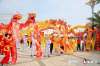 2024西鼎會丨瑞龍騰飛祈愿，醫藥圈祈福活動、醫藥人歡聚夜成功舉辦