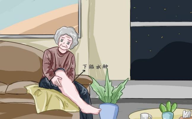 芪藶強心膠囊的藥理作用是什么